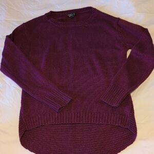 Papermoon Shurman Jewel Tone Purple Pullover Crew Neck Sweater